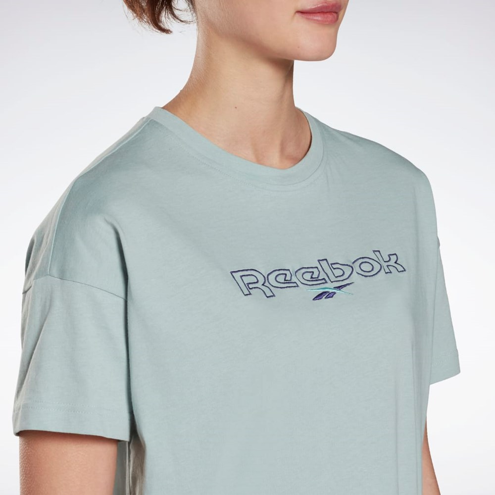 Reebok Brand T-Shirt Siva | VXRFY0297