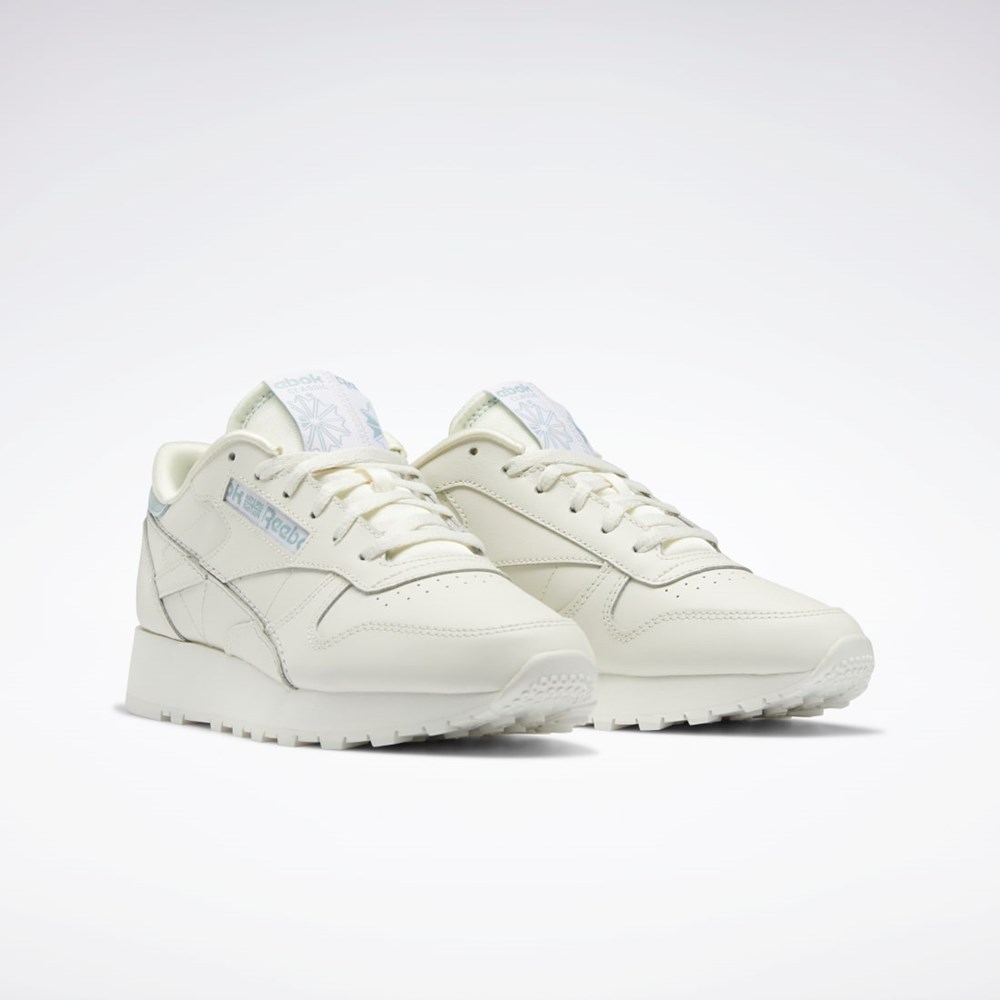 Reebok Classic Leather Make It Yours Shoes Siva | EOBVT5380