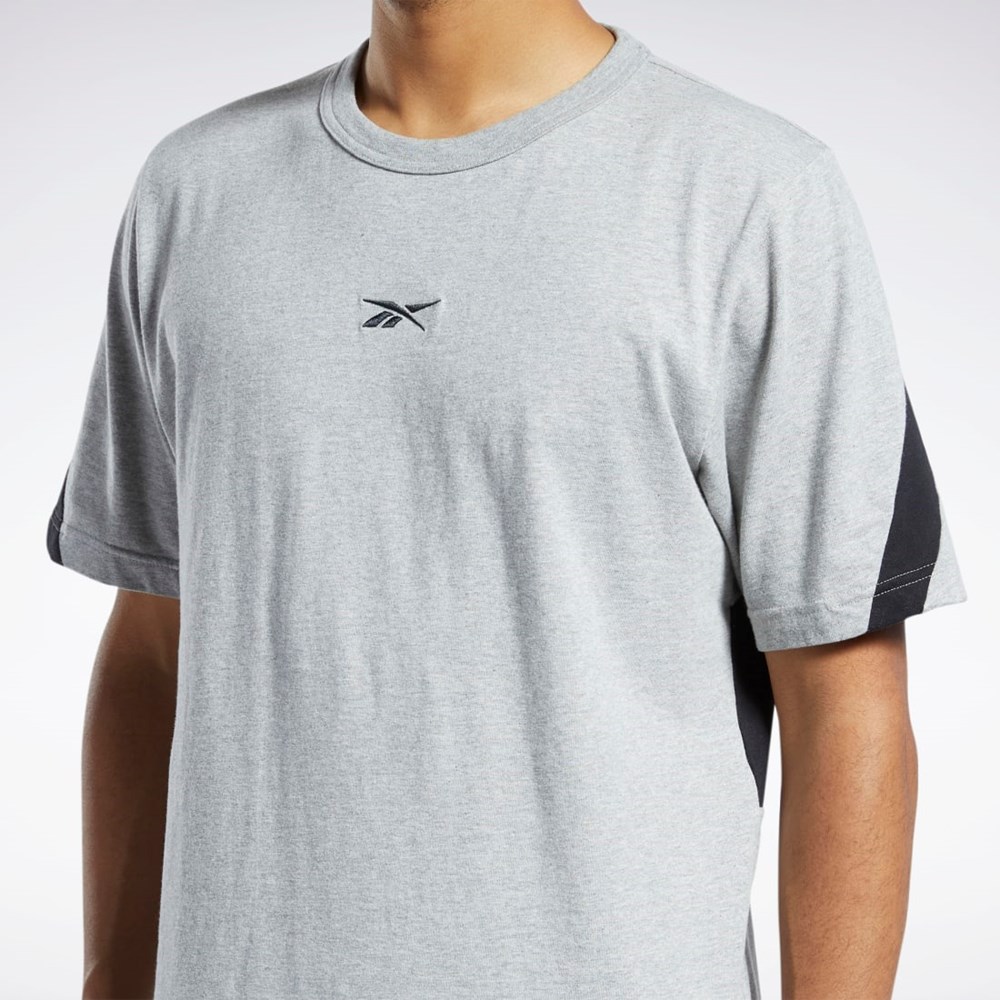 Reebok Classics Brand Proud T-Shirt Siva | RYPSC2510