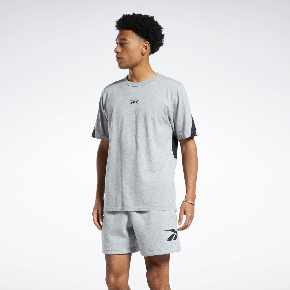 Reebok Classics Brand Proud T-Shirt Siva | RYPSC2510