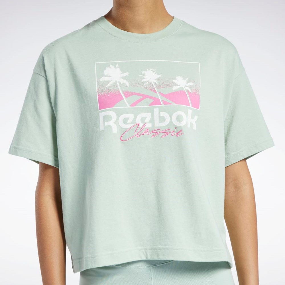 Reebok Classics Summer Grafika T-Shirt Svetlo | UEAFY0396