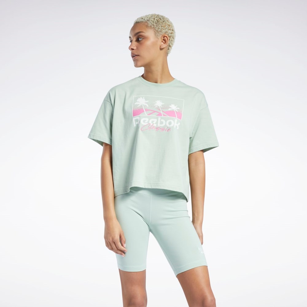 Reebok Classics Summer Grafika T-Shirt Svetlo | UEAFY0396