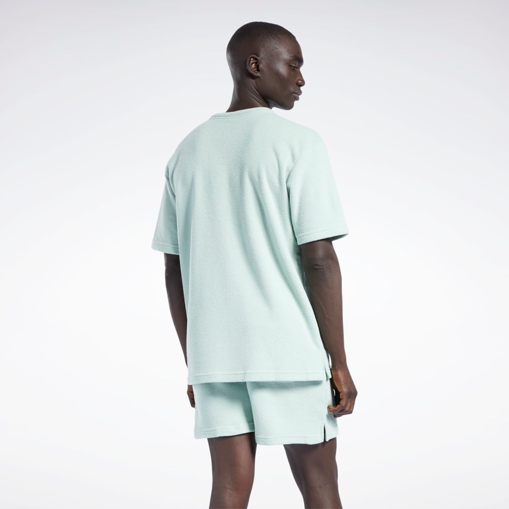 Reebok Classics Terry T-Shirt Svetlo | BVYEZ4963