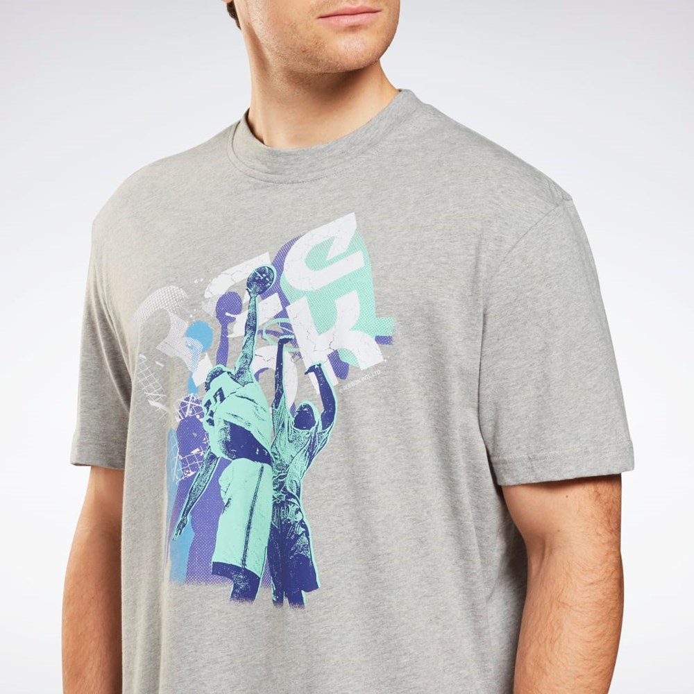 Reebok Grafika Series T-Shirt Siva | YHTWK8160