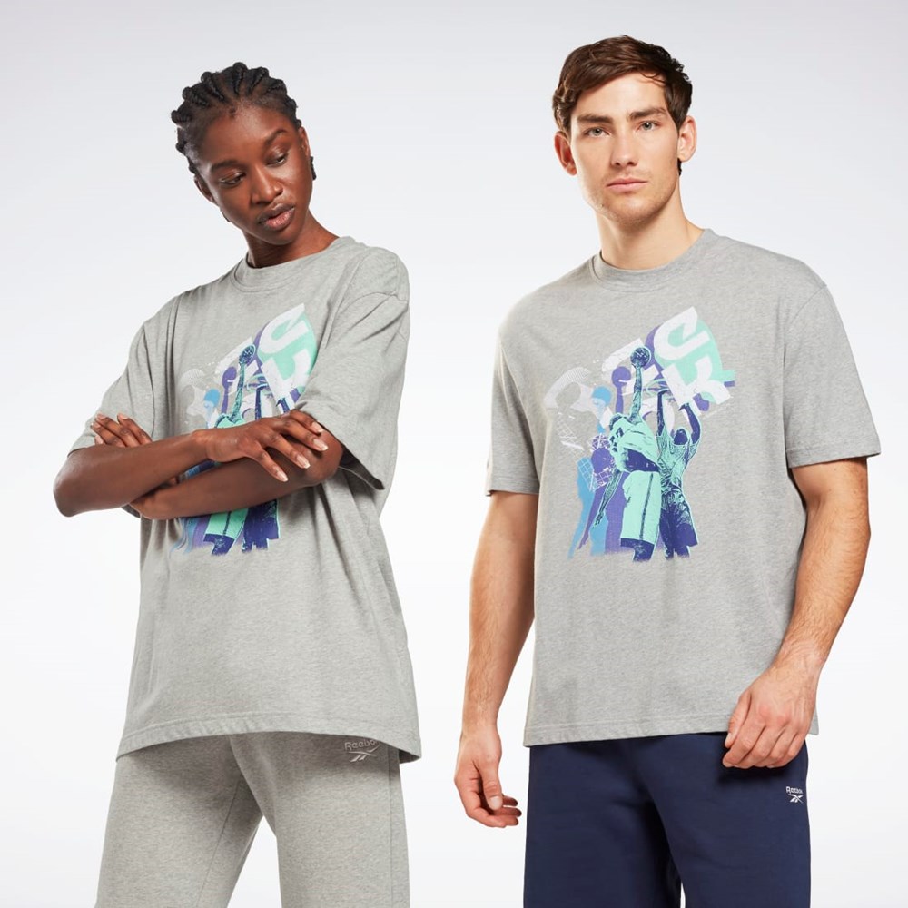 Reebok Grafika Series T-Shirt Siva | YHTWK8160