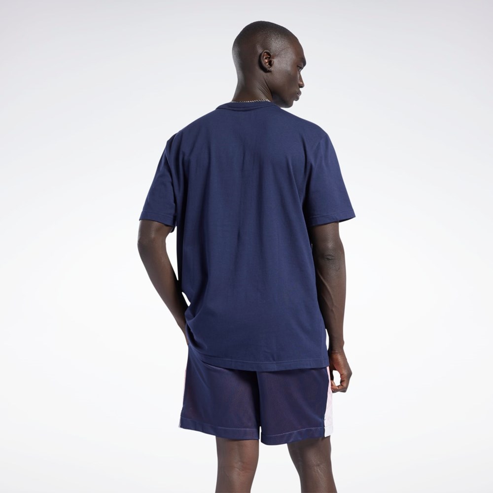 Reebok Iverson Basketball I3 Blue Print Kratke Sleeve T-Shirt Námornícka Modrá | QUNZY1348