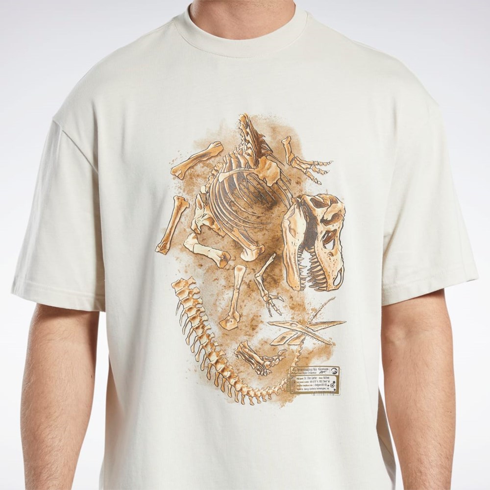 Reebok Jurassic World Fossil T-Shirt Stucco | VJCWA1527