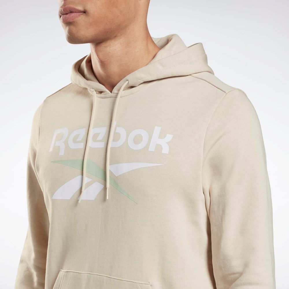 Reebok Reebok Identity Big Logo Hoodie Stucco | MWDFS0861