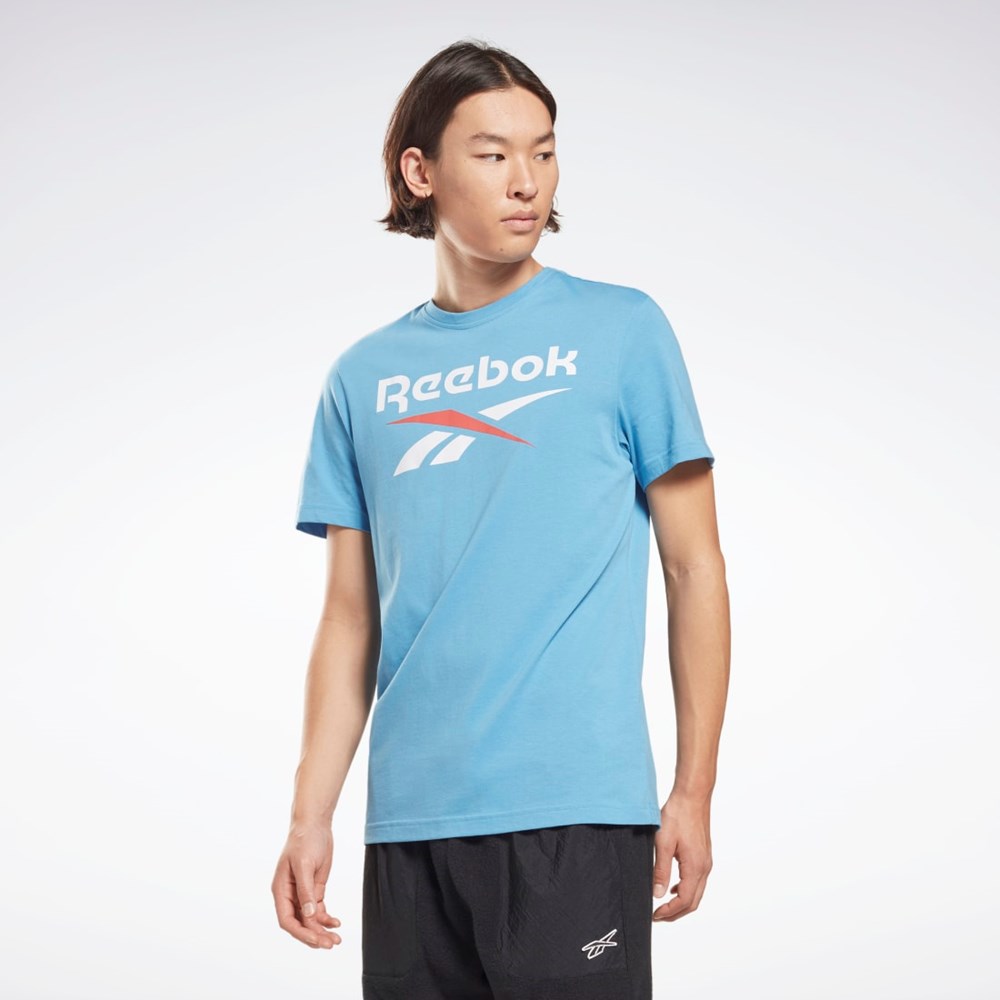 Reebok Reebok Identity Big Logo T-Shirt Modre | ANXDM6058