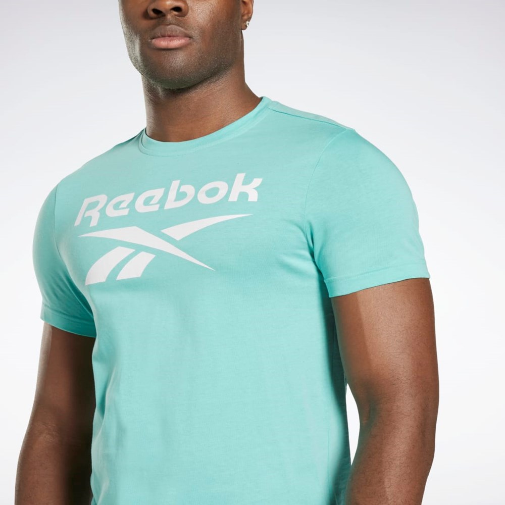 Reebok Reebok Identity Big Logo T-Shirt Semi Classic Teal | JRBIT2169