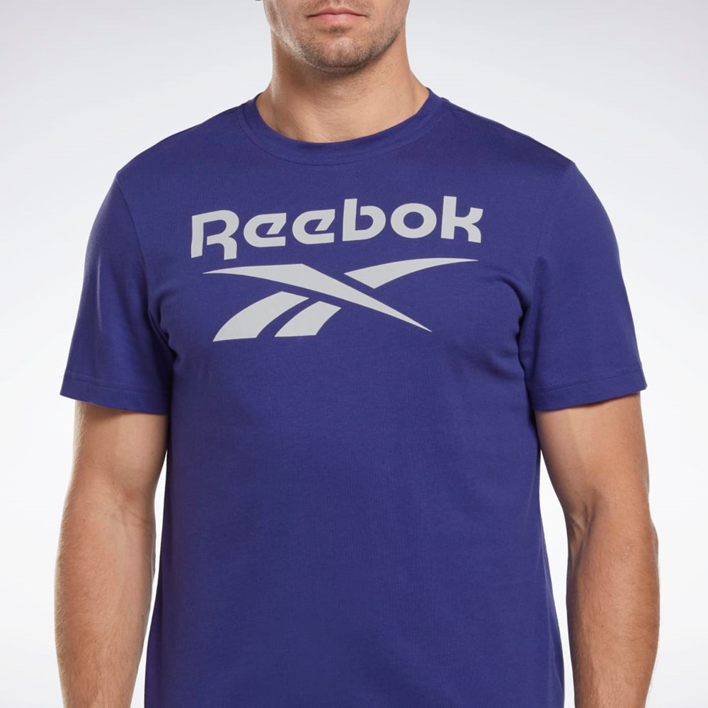 Reebok Reebok Identity Big Logo T-Shirt Nachový | RVCJS5710