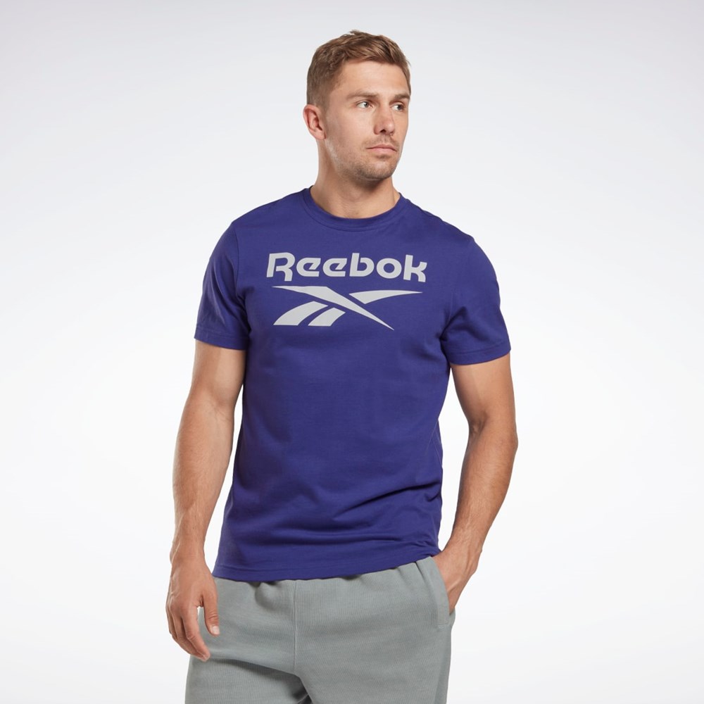 Reebok Reebok Identity Big Logo T-Shirt Nachový | RVCJS5710