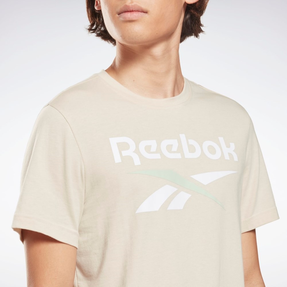 Reebok Reebok Identity Big Logo T-Shirt Stucco | TQYGL8259