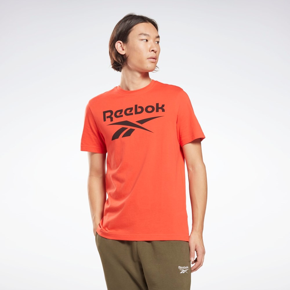 Reebok Reebok Identity Big Logo T-Shirt Červené | UMOGP2687