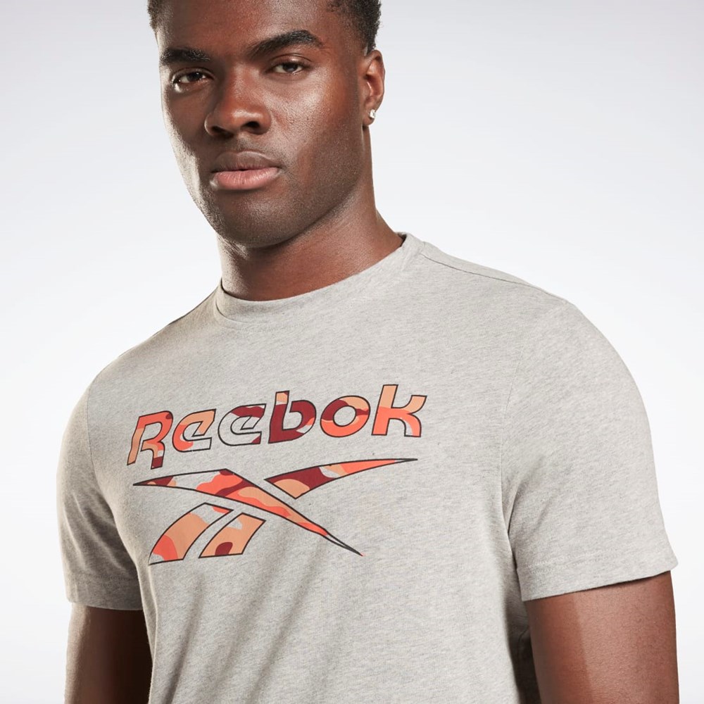 Reebok Reebok Identity Big Logo T-Shirt Siva | YBHGL6397