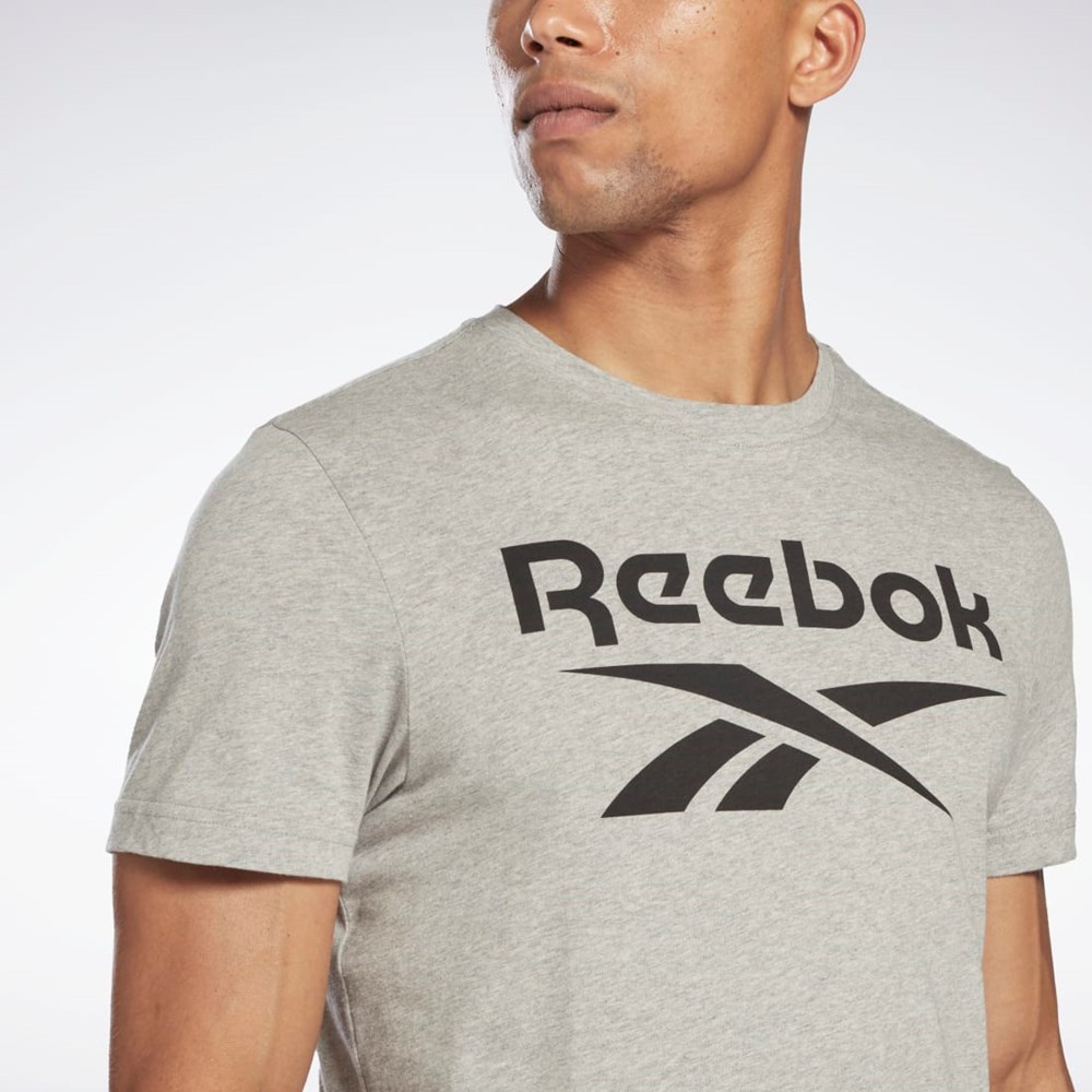 Reebok Reebok Identity Big Logo T-Shirt Siva | ZIVOU1486