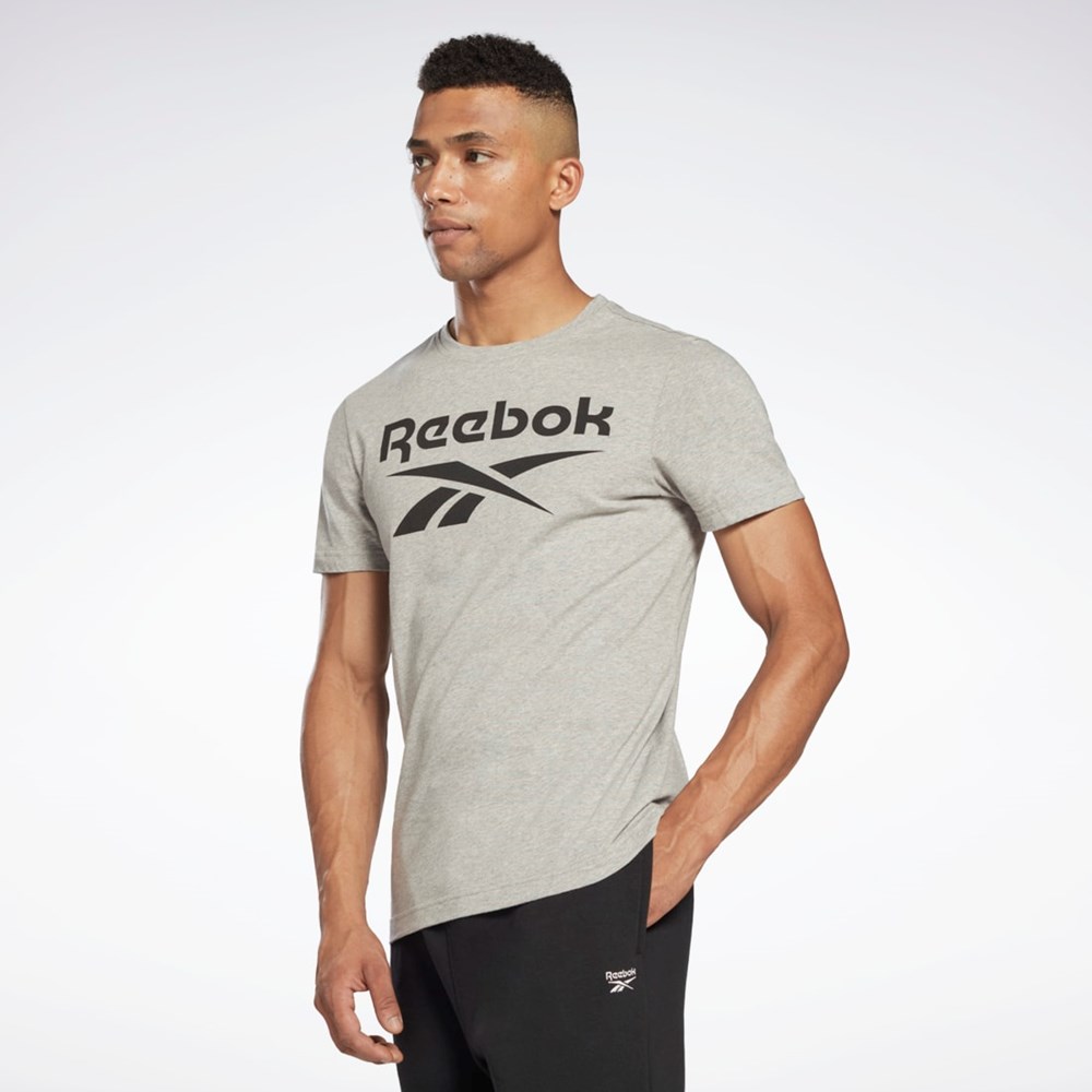 Reebok Reebok Identity Big Logo T-Shirt Siva | ZIVOU1486