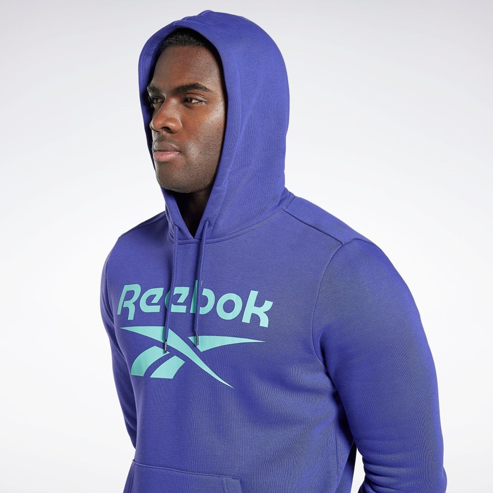 Reebok Reebok Identity Fleece Hoodie Nachový | CZLKE9841