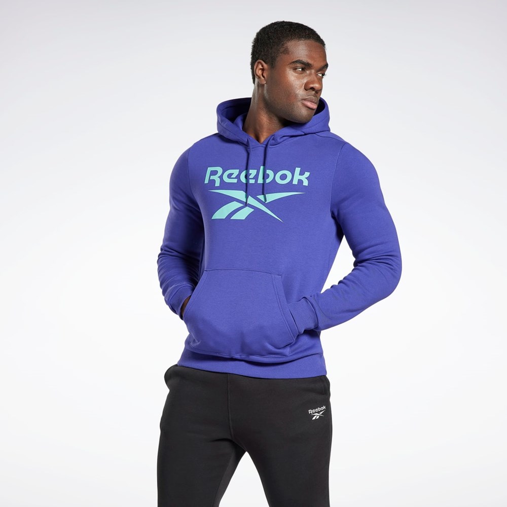 Reebok Reebok Identity Fleece Hoodie Nachový | CZLKE9841