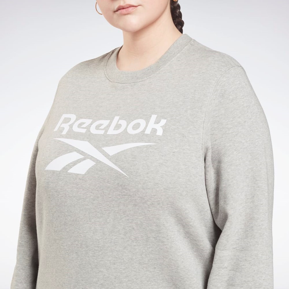 Reebok Reebok Identity Logo Fleece Crew Sweatshirt (Plus Size) Siva | EQKXI6137