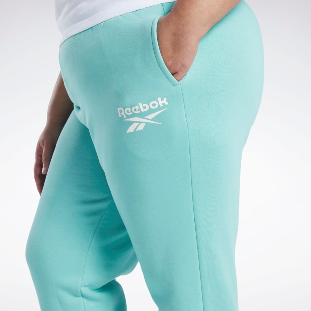 Reebok Reebok Identity Logo Fleece Joggers (Plus Size) Semi Classic Teal | HASDQ5097