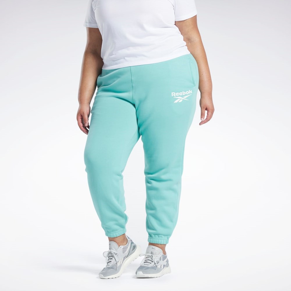 Reebok Reebok Identity Logo Fleece Joggers (Plus Size) Semi Classic Teal | HASDQ5097