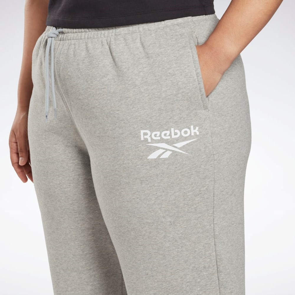 Reebok Reebok Identity Logo Fleece Joggers (Plus Size) Siva | LYNUZ4761