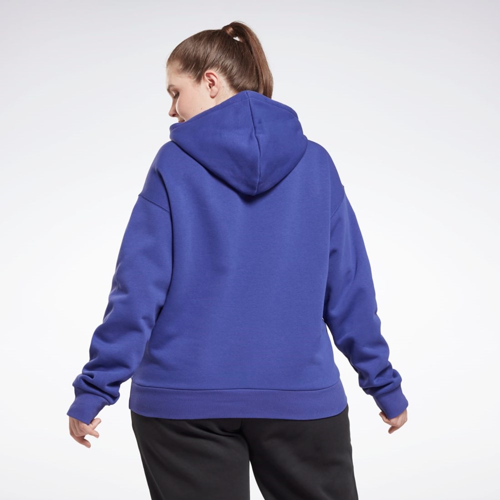 Reebok Reebok Identity Logo Fleece Pullover Hoodie (Plus Size) Nachový | CYTXW0472