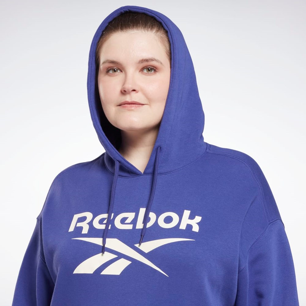 Reebok Reebok Identity Logo Fleece Pullover Hoodie (Plus Size) Nachový | CYTXW0472