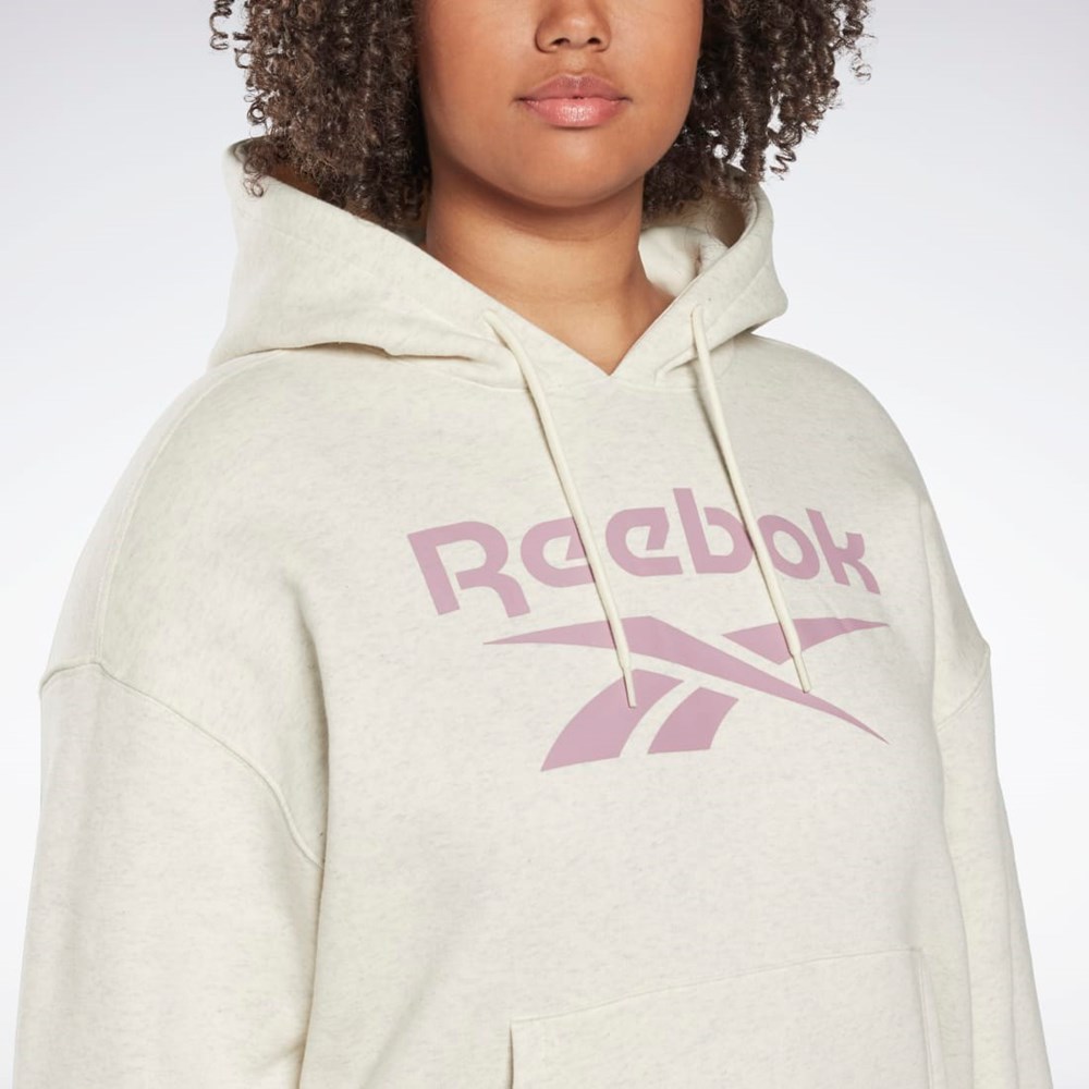 Reebok Reebok Identity Logo Fleece Pullover Hoodie (Plus Size) Biele | DVCGP4016