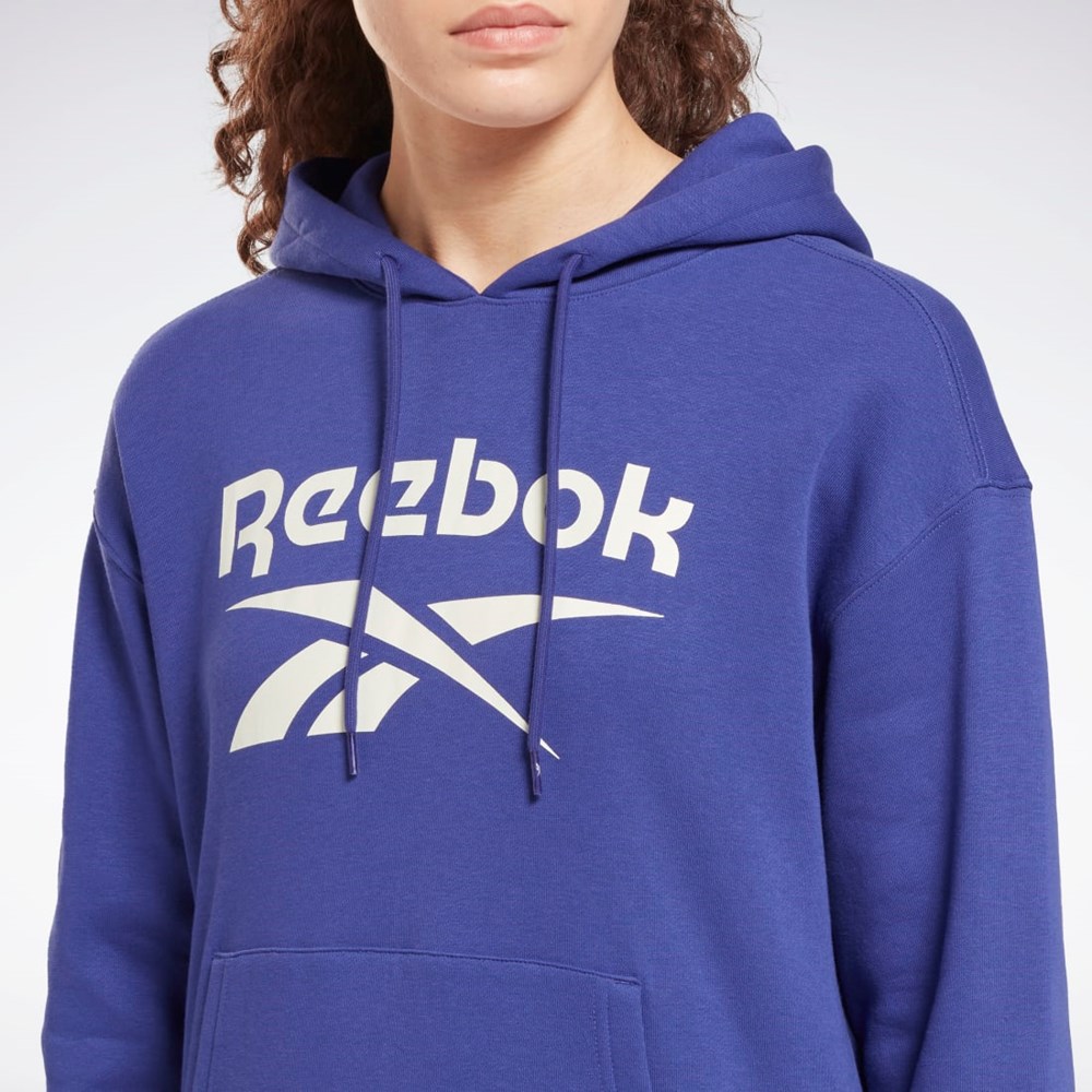 Reebok Reebok Identity Logo Fleece Pullover Hoodie Nachový | IJFPV1267