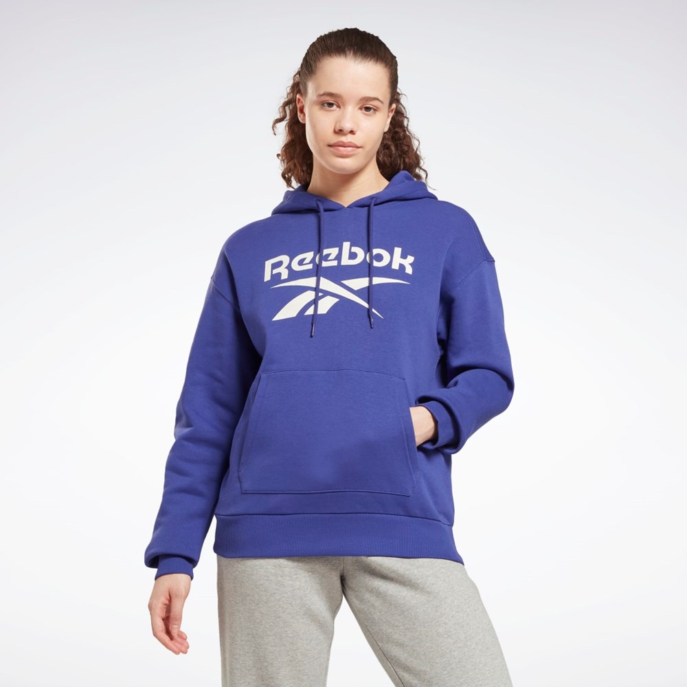 Reebok Reebok Identity Logo Fleece Pullover Hoodie Nachový | IJFPV1267