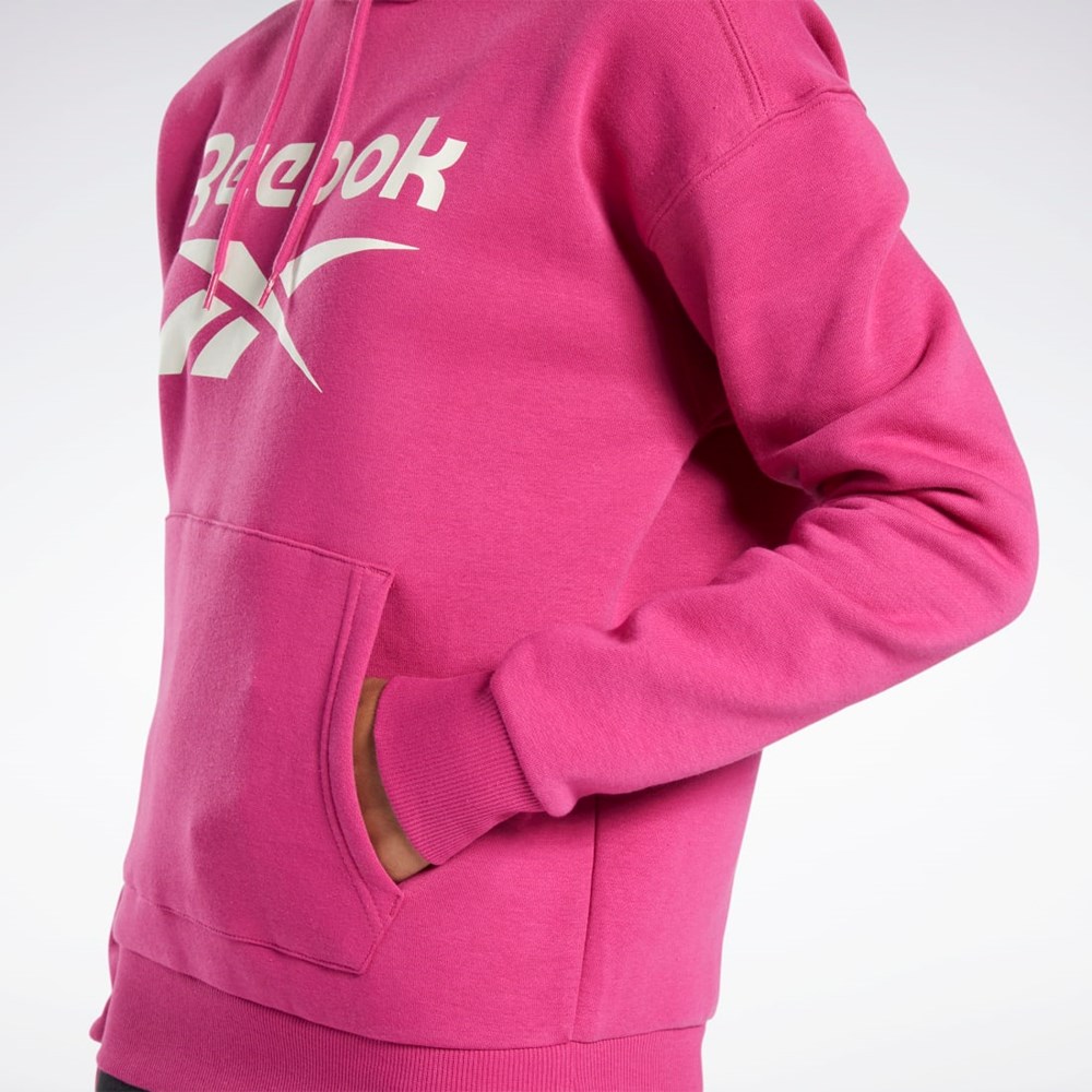 Reebok Reebok Identity Logo Fleece Pullover Hoodie Ruzove | MYBWT1263