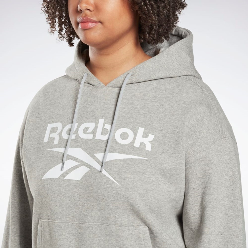 Reebok Reebok Identity Logo Fleece Pullover Hoodie (Plus Size) Siva | PFEQY4105