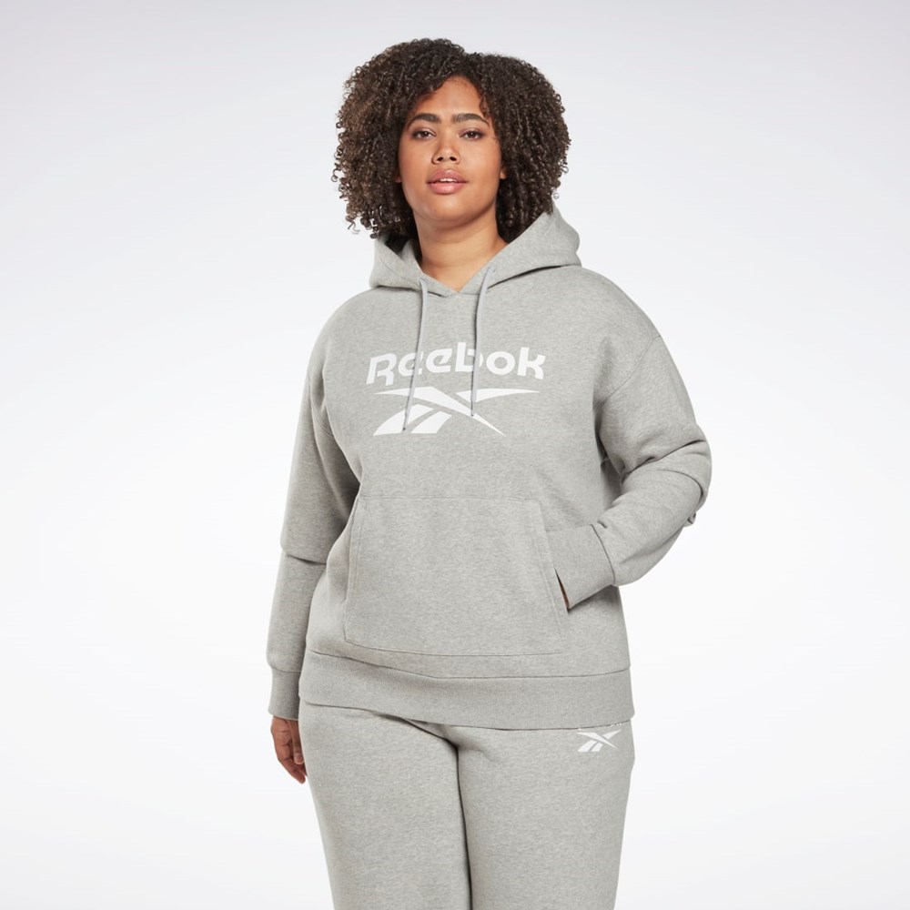 Reebok Reebok Identity Logo Fleece Pullover Hoodie (Plus Size) Siva | PFEQY4105