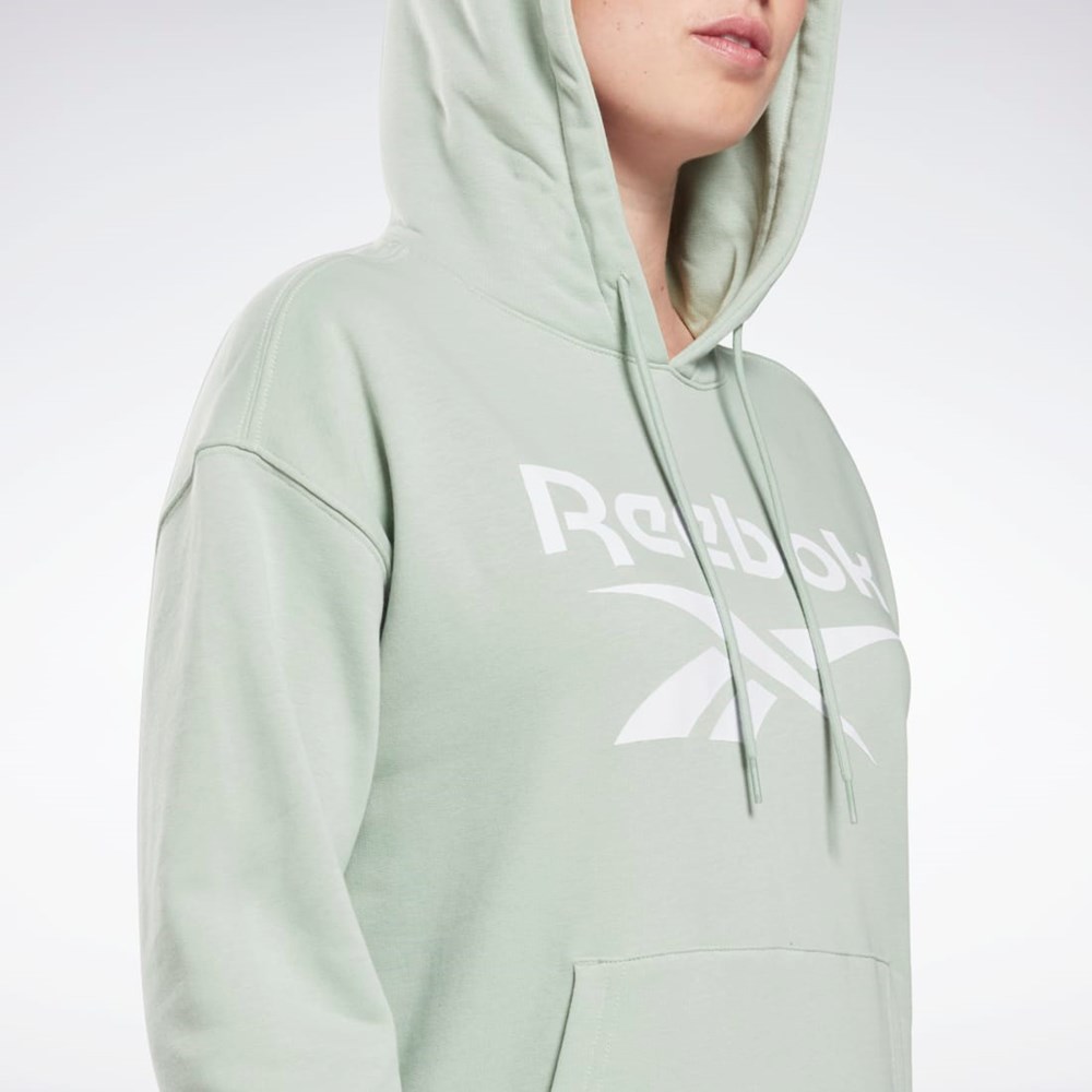 Reebok Reebok Identity Logo French Terry Hoodie Svetlo | ISQRD6048