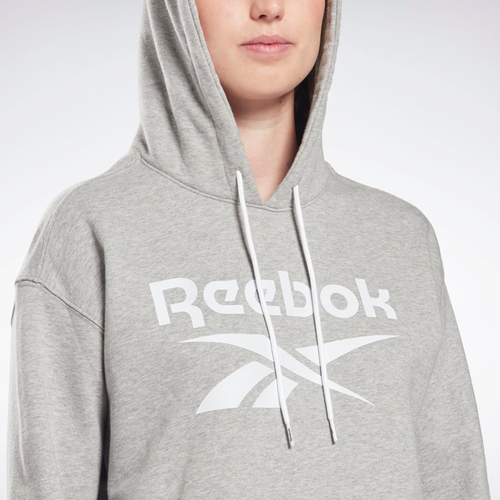 Reebok Reebok Identity Logo French Terry Hoodie Siva Biele Biele | NHZPQ1856