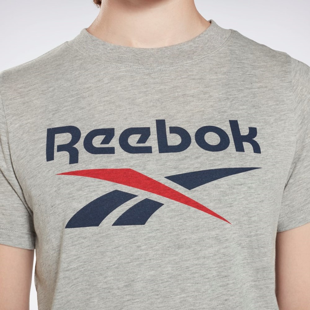 Reebok Reebok Identity Logo T-Shirt Siva | VIXFC4650