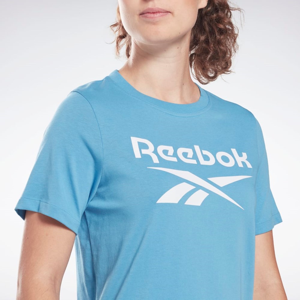 Reebok Reebok Identity T-Shirt Modre | BXFNV5264