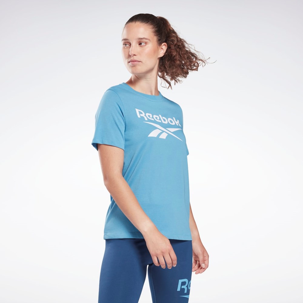 Reebok Reebok Identity T-Shirt Modre | BXFNV5264