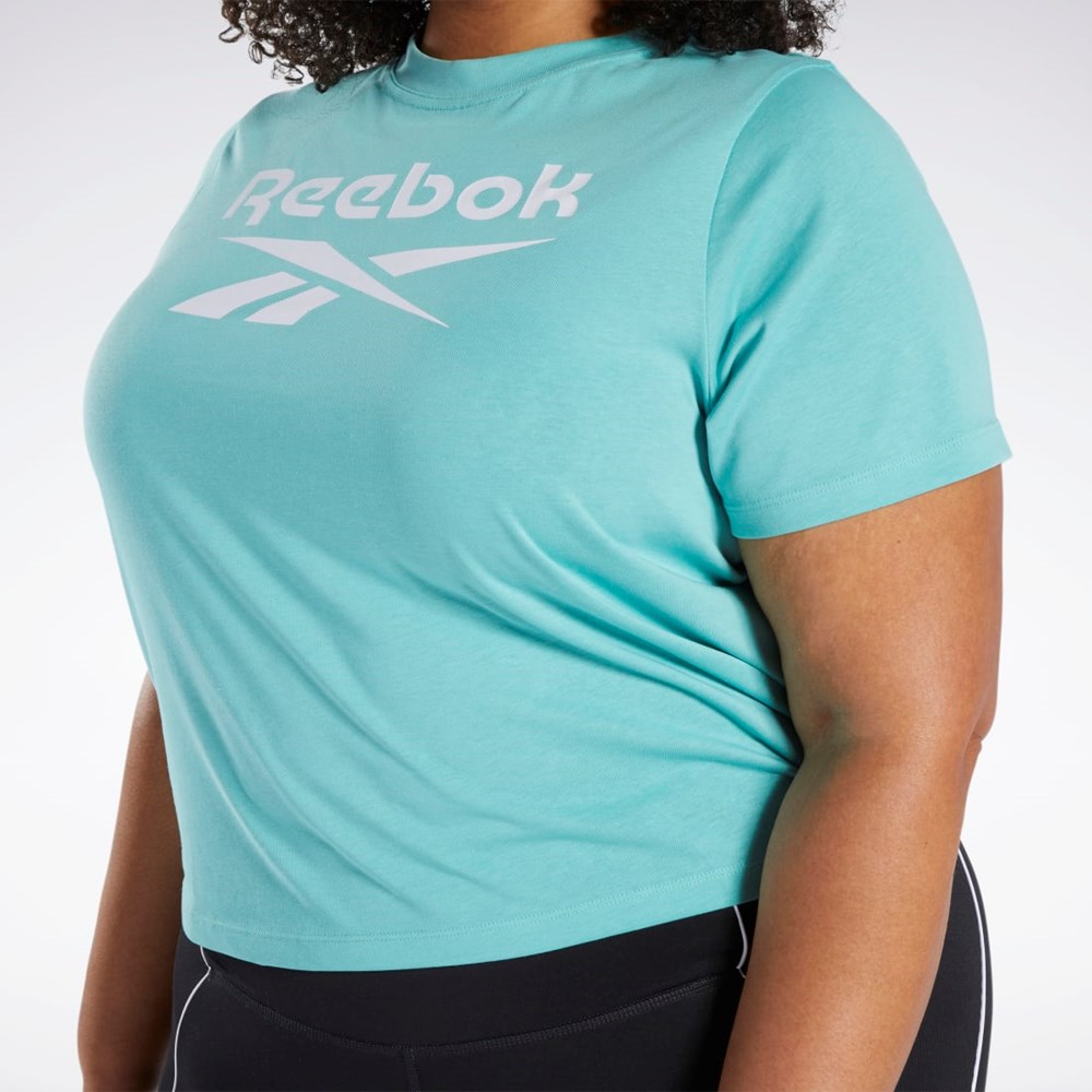 Reebok Reebok Identity T-Shirt (Plus Size) Semi Classic Teal | EHBFD1649