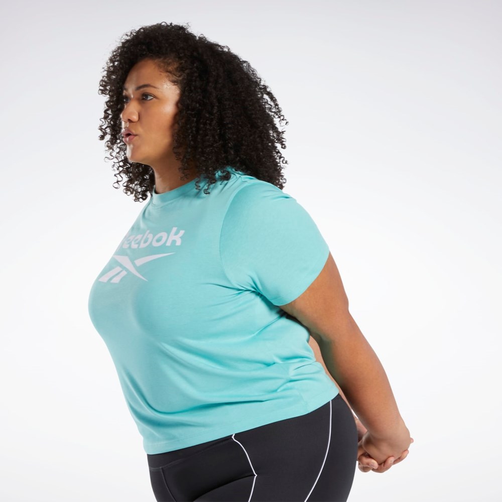 Reebok Reebok Identity T-Shirt (Plus Size) Semi Classic Teal | EHBFD1649