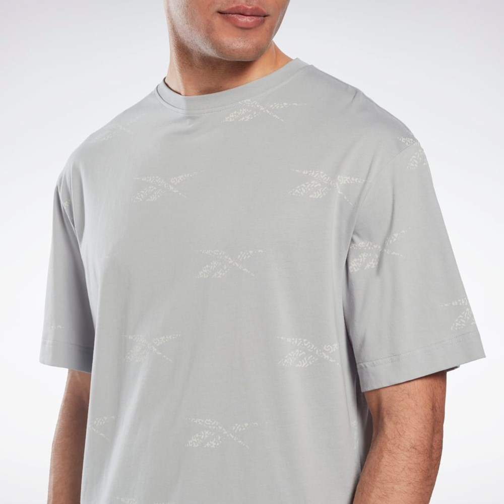 Reebok Reebok Identity Vector T-Shirt Siva | HCABG7695