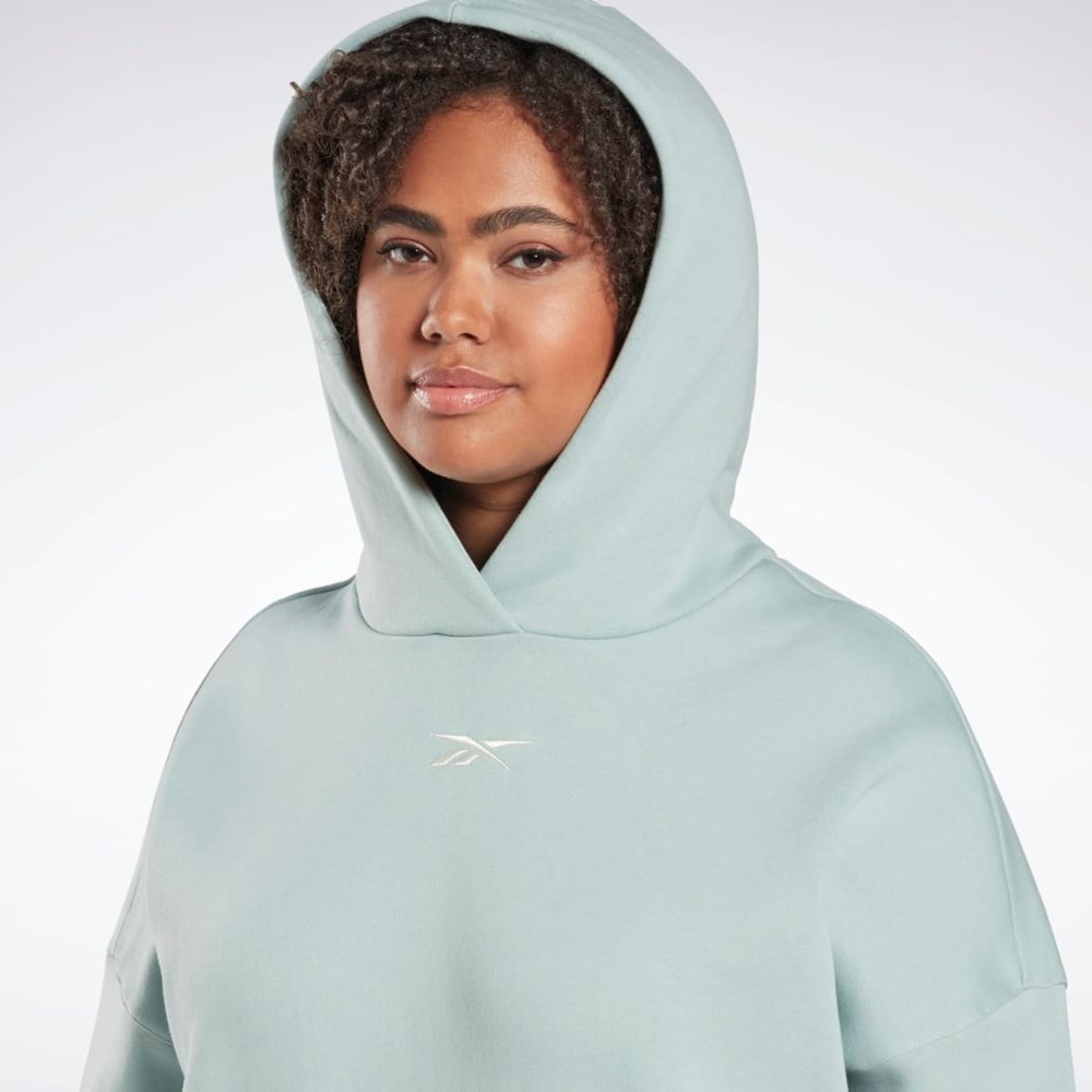 Reebok Studio Recycled Oversize Hoodie (Plus Size) Siva | JVOYS7605