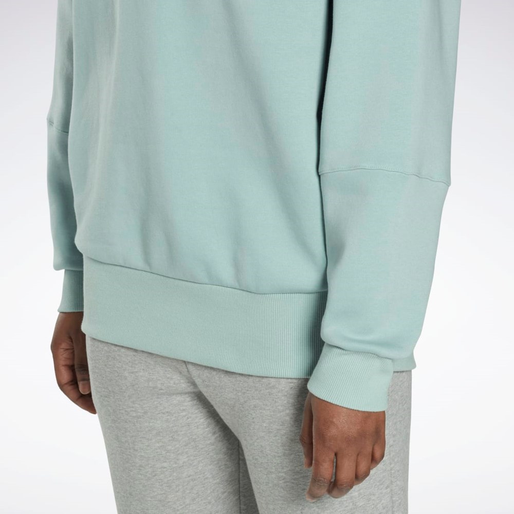 Reebok Studio Recycled Oversize Hoodie Siva | WMEAK2608