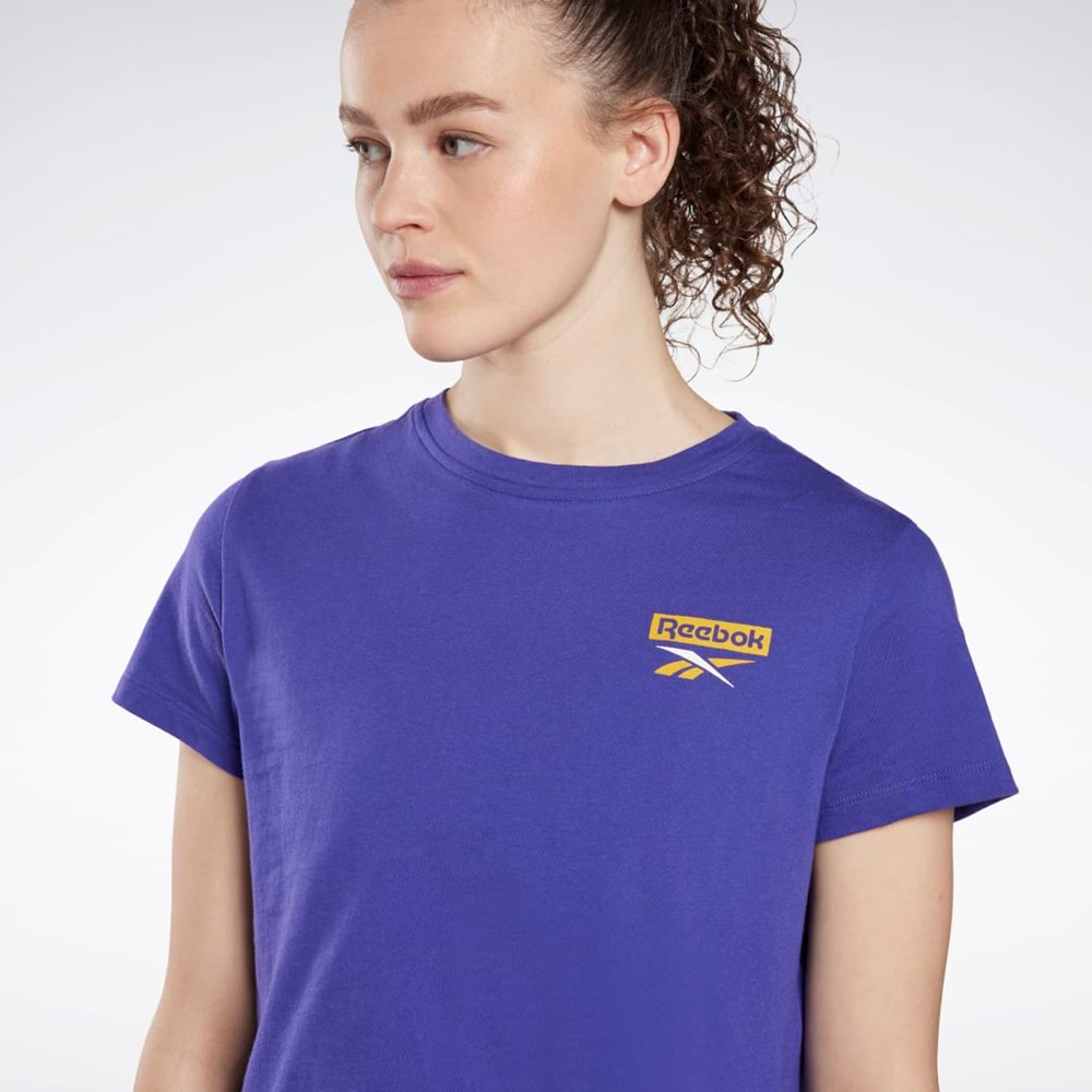 Reebok Tréningová Essentials Grafika T-Shirt Nachový | HPXTM2951