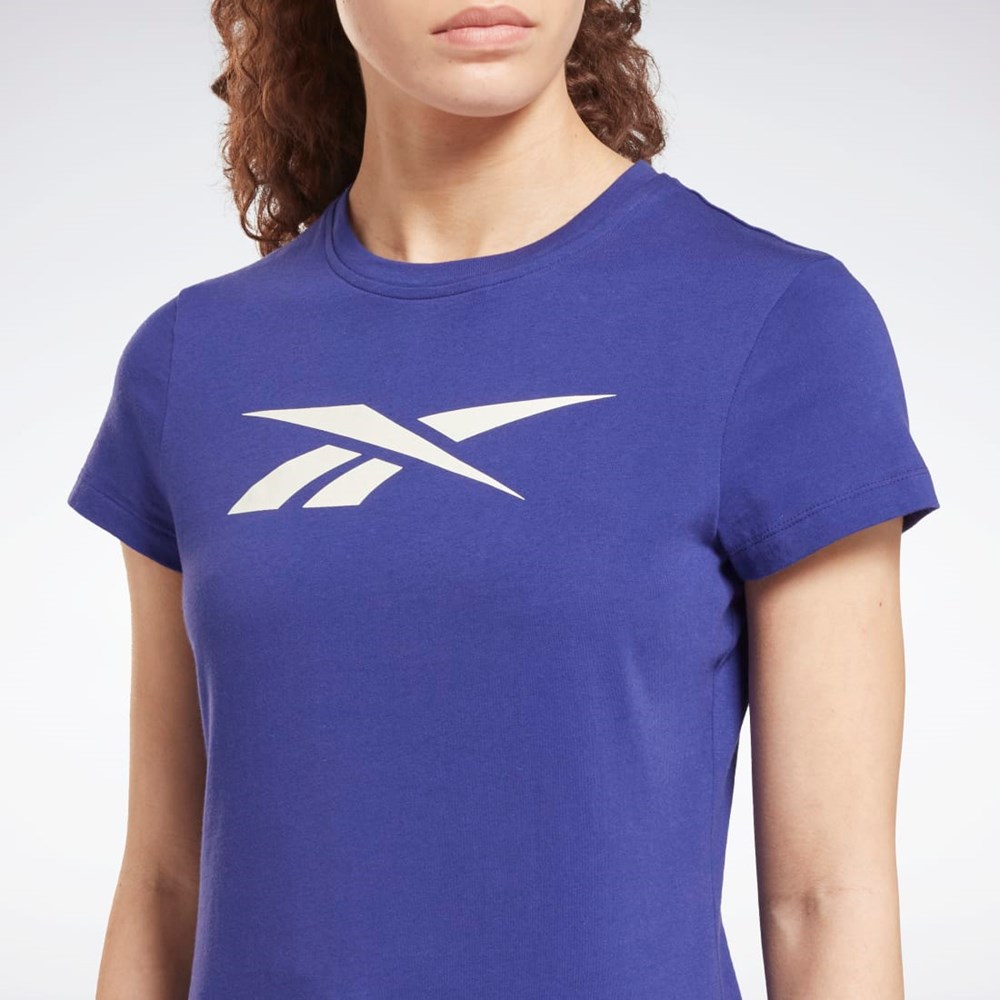 Reebok Tréningová Essentials Vector Grafika Tee Nachový | QXRMP2631