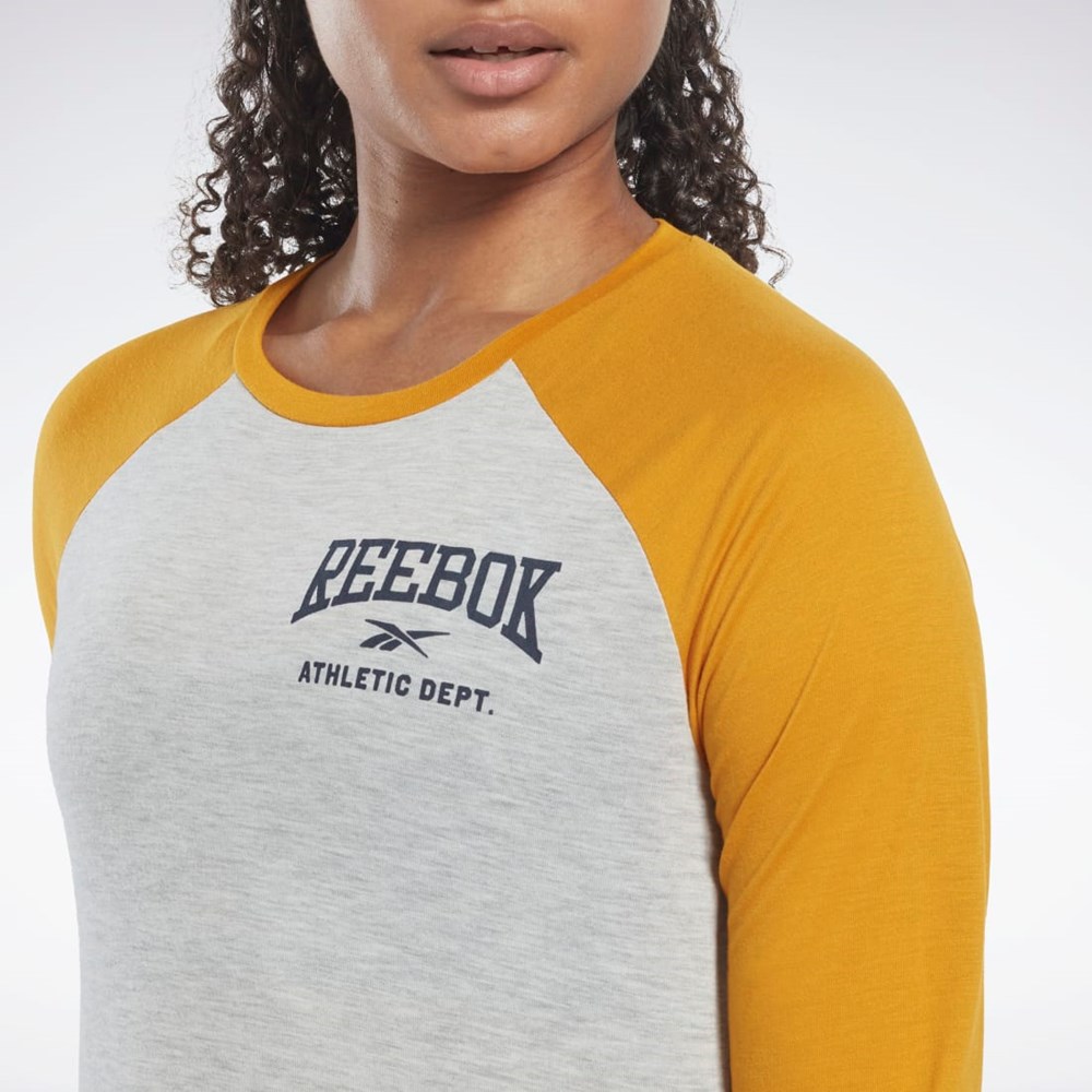 Reebok Workout Ready Baseball T-Shirt Svetlo Siva | RCKZE5471