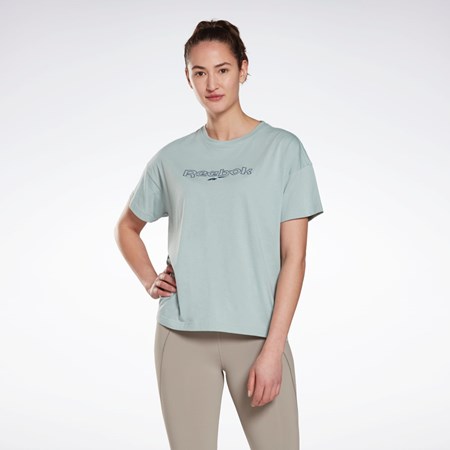 Reebok Brand T-Shirt Siva | VXRFY0297