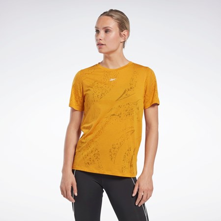 Reebok Burnout T-Shirt Bright Ochre | QFMUV4053